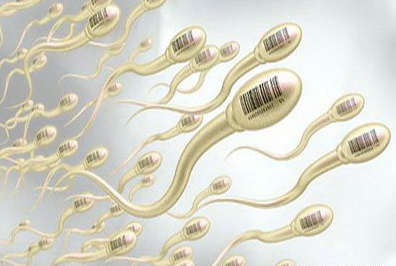 精子活力低怎么办